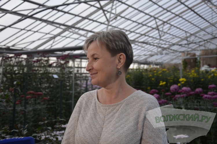 Краски осени и уникальная коллекция: в Волжском проходит Бал хризантем