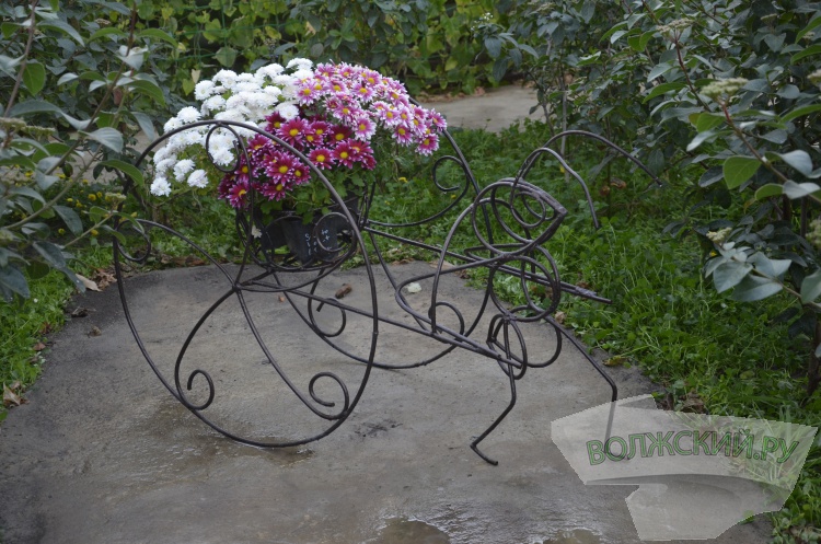 Краски осени и уникальная коллекция: в Волжском проходит Бал хризантем