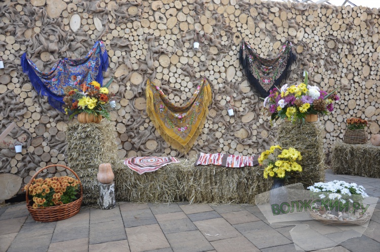 Краски осени и уникальная коллекция: в Волжском проходит Бал хризантем