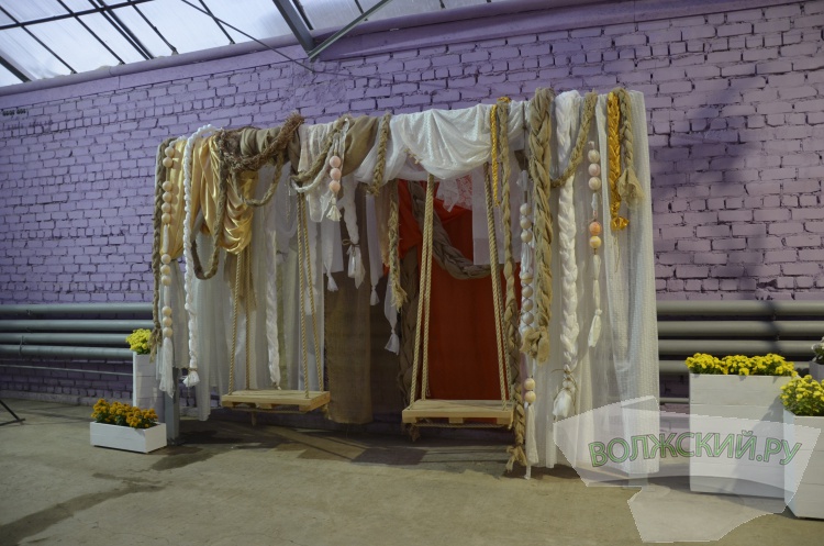 Краски осени и уникальная коллекция: в Волжском проходит Бал хризантем