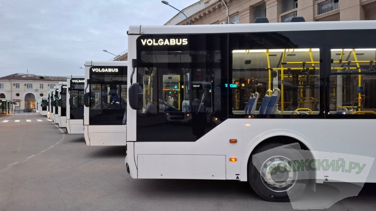 �� ������� �������: ��������� �������� 80 ��������� ����������� ���������