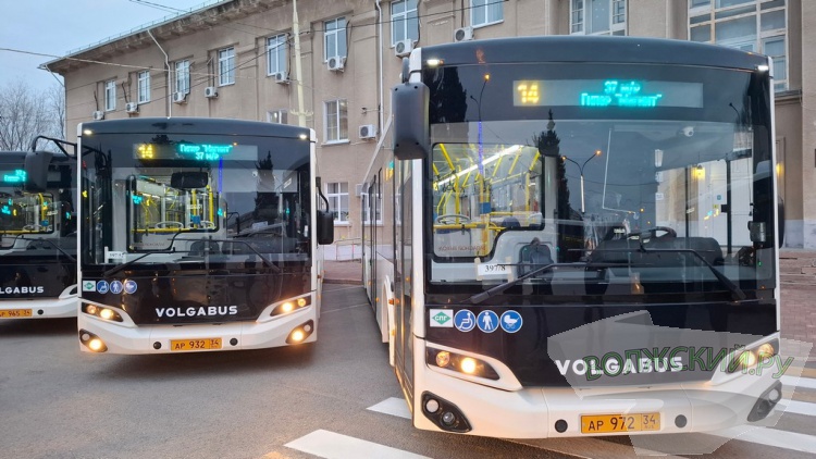 �� ������� �������: ��������� �������� 80 ��������� ����������� ���������