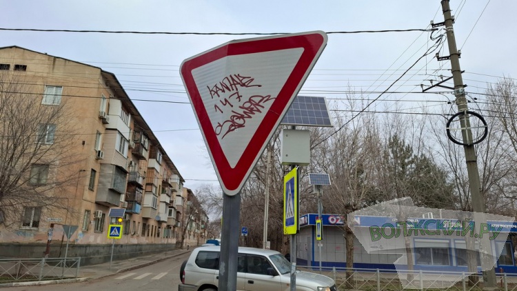 ����� ������, ������ ��������: � �������� ������� � ������������ ������ � ��������