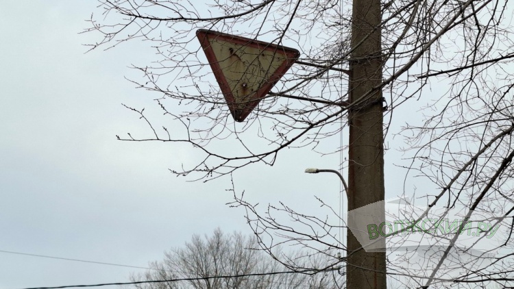 ����� ������, ������ ��������: � �������� ������� � ������������ ������ � ��������