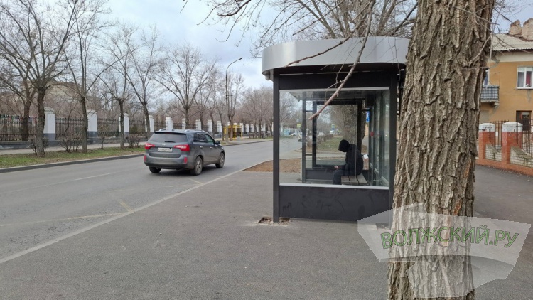 ����� ������, ������ ��������: � �������� ������� � ������������ ������ � ��������