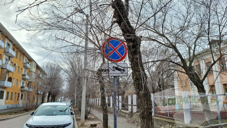 ����� ������, ������ ��������: � �������� ������� � ������������ ������ � ��������