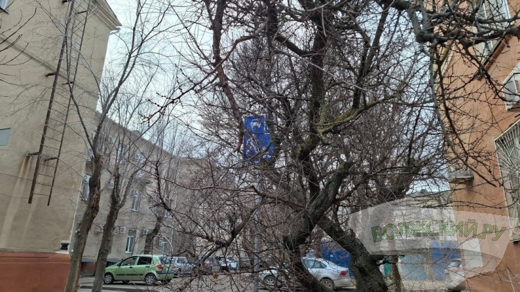 ����� ������, ������ ��������: � �������� ������� � ������������ ������ � ��������