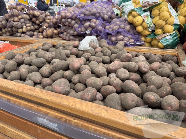 �������� ��� �����: �� ������� ��������� ���� �� ����� ���������� ���������� �������?