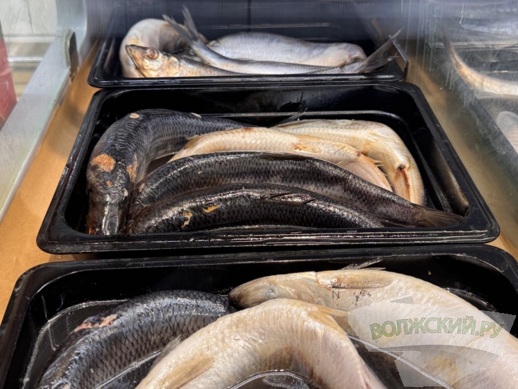 �������� ��� �����: �� ������� ��������� ���� �� ����� ���������� ���������� �������?