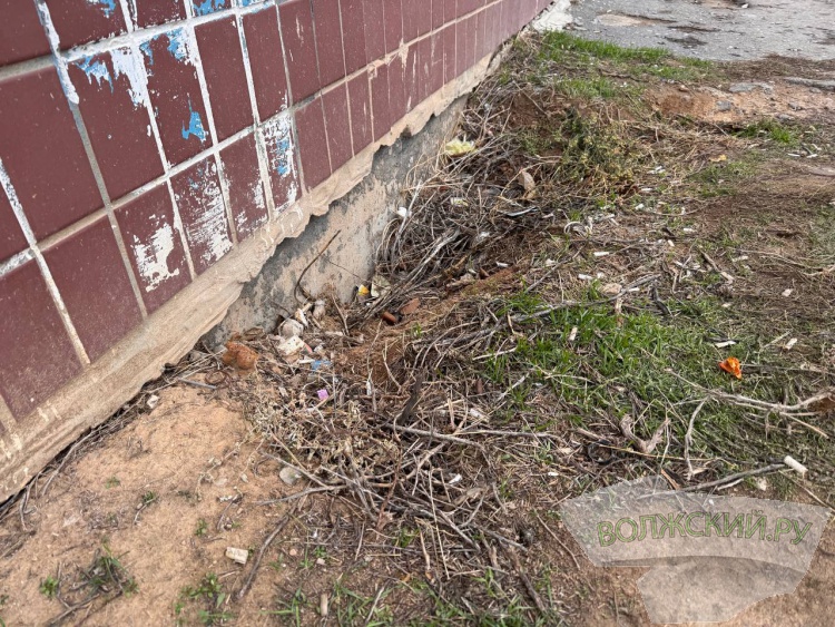 ������� � �������: ������ ������� ��������� � �������� �������� �� ������ ��