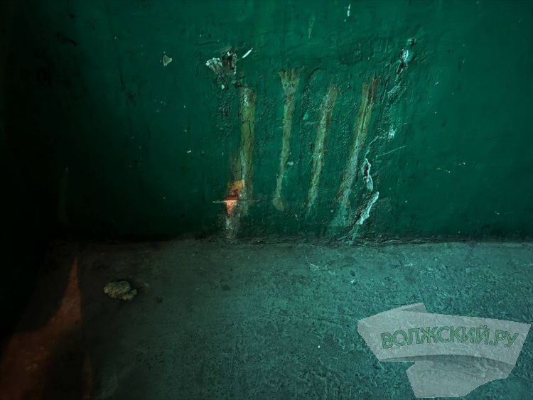 ������� � �������: ������ ������� ��������� � �������� �������� �� ������ ��