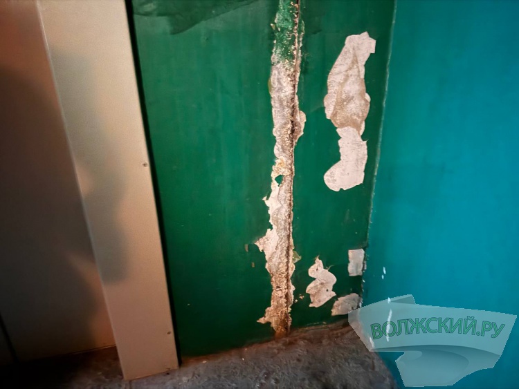 ������� � �������: ������ ������� ��������� � �������� �������� �� ������ ��