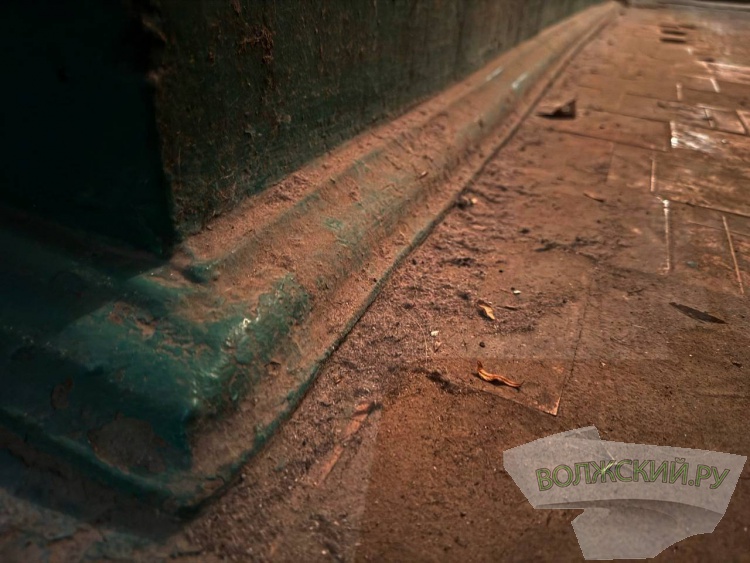 ������� � �������: ������ ������� ��������� � �������� �������� �� ������ ��