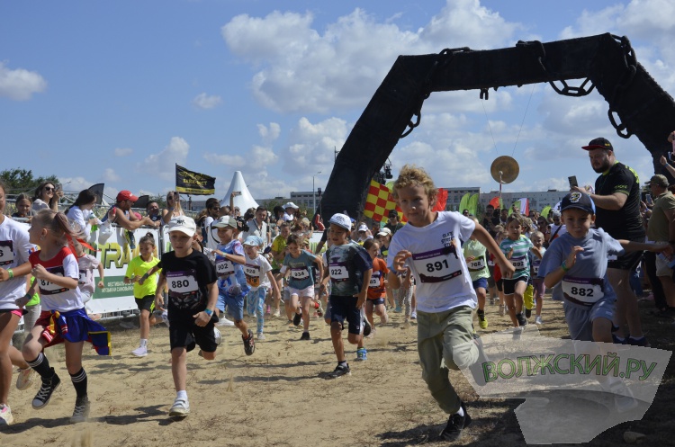  ,    :     Ultra 100