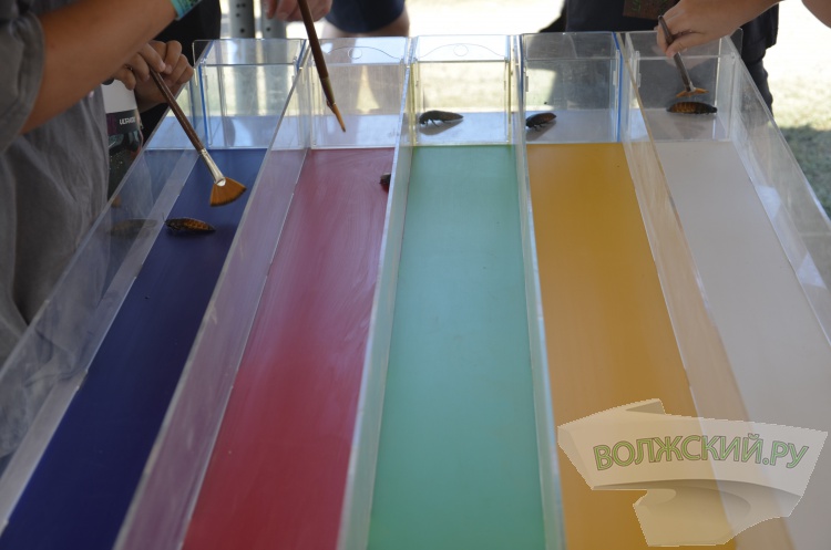  ,    :     Ultra 100