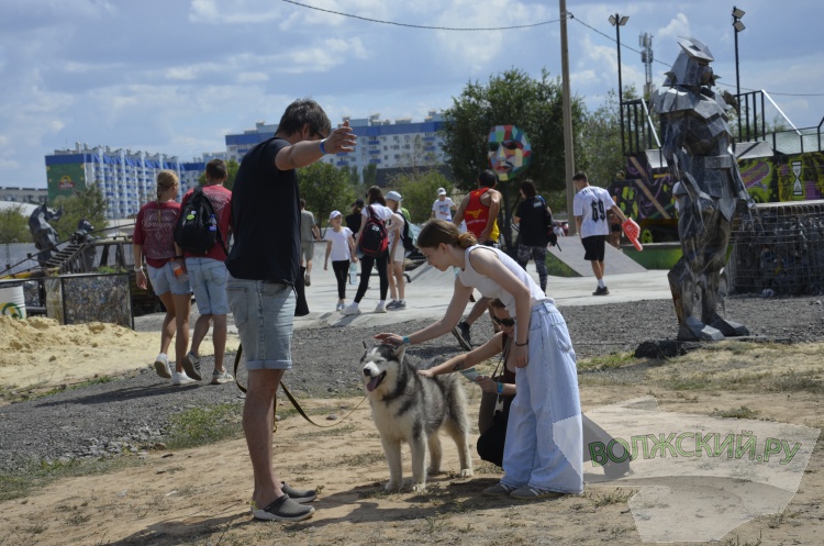  ,    :     Ultra 100