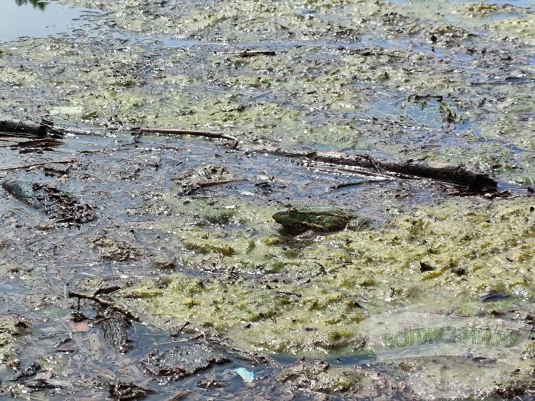 � ������������� ������� � �������� �������� 167 ��� �� ������ �����