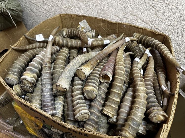 �������� ���� � ��������: ����� ����������� ��������� ���� ������� �� ����� 