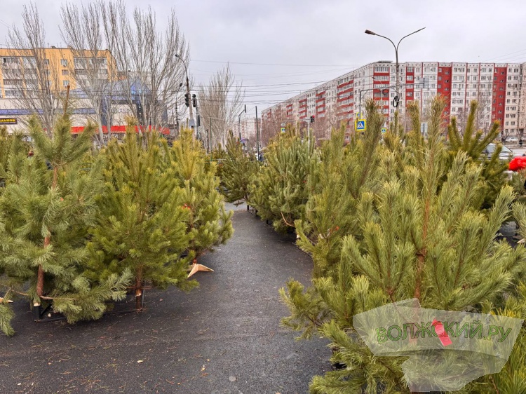 �� ������ ��: � �������� ����� ���������� ���������� ���� 