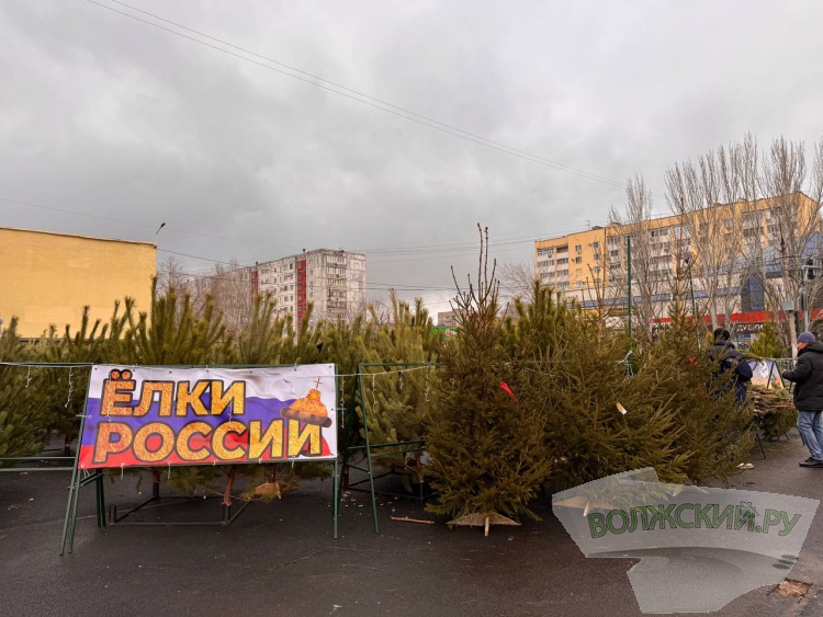 �� ������ ��: � �������� ����� ���������� ���������� ����