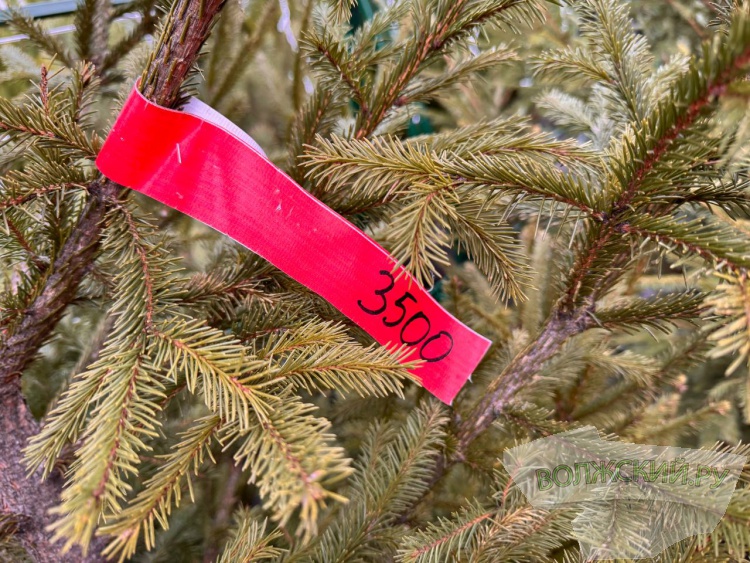 �� ������ ��: � �������� ����� ���������� ���������� ����