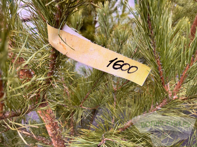 �� ������ ��: � �������� ����� ���������� ���������� ����