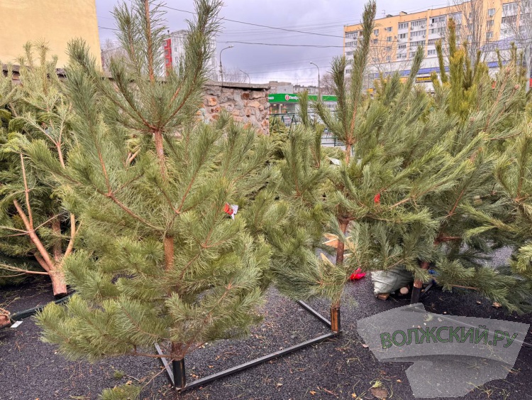 �� ������ ��: � �������� ����� ���������� ���������� ����