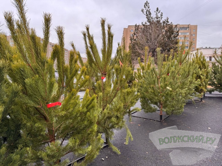 �� ������ ��: � �������� ����� ���������� ���������� ����