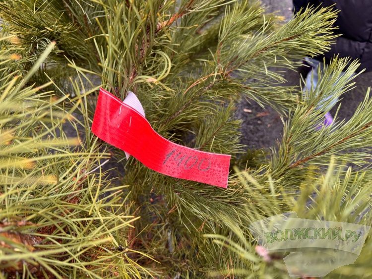 �� ������ ��: � �������� ����� ���������� ���������� ����