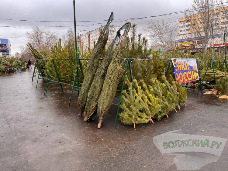 �� ������ ��: � �������� ����� ���������� ���������� ����