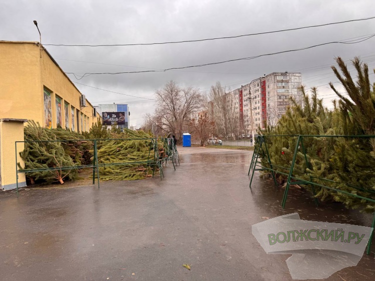 �� ������ ��: � �������� ����� ���������� ���������� ����