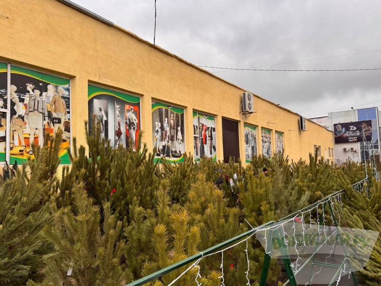 �� ������ ��: � �������� ����� ���������� ���������� ����