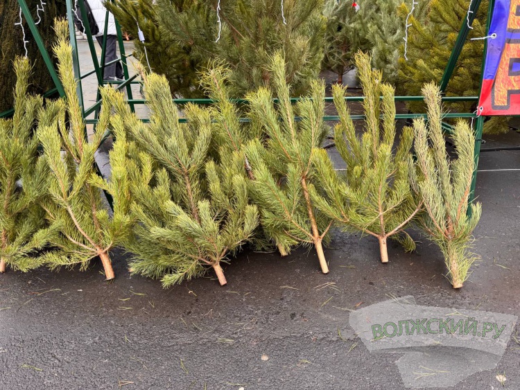 �� ������ ��: � �������� ����� ���������� ���������� ����