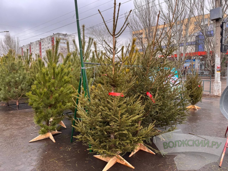 �� ������ ��: � �������� ����� ���������� ���������� ����