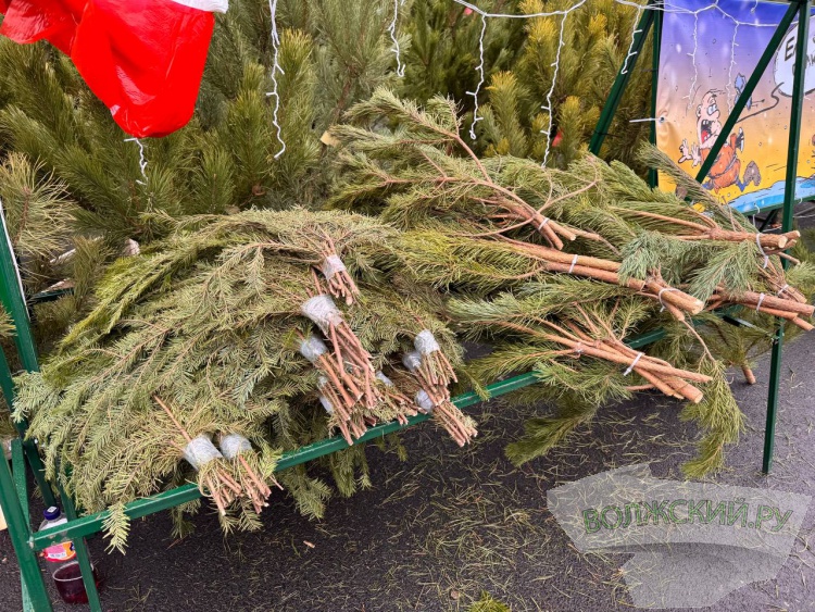 �� ������ ��: � �������� ����� ���������� ���������� ����