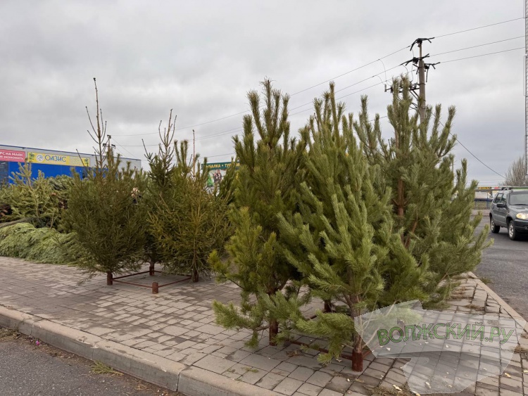 �� ������ ��: � �������� ����� ���������� ���������� ����