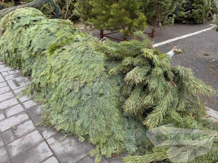 �� ������ ��: � �������� ����� ���������� ���������� ����