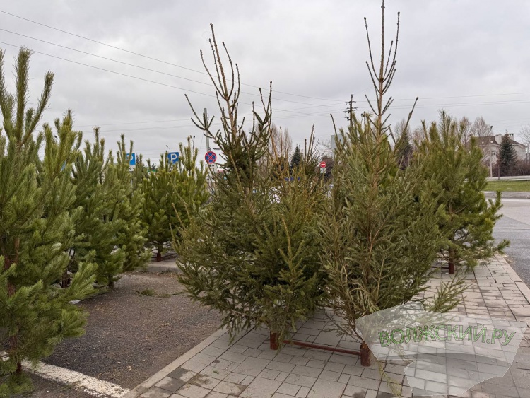 �� ������ ��: � �������� ����� ���������� ���������� ����