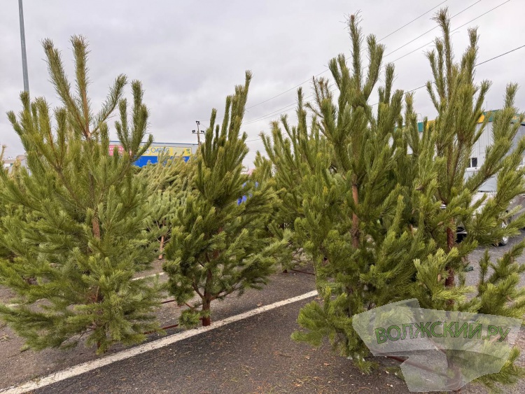 �� ������ ��: � �������� ����� ���������� ���������� ����