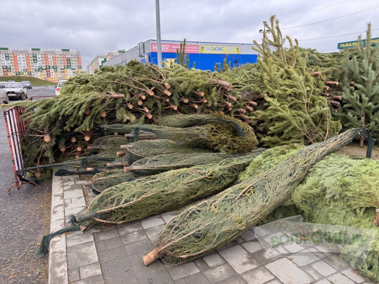 �� ������ ��: � �������� ����� ���������� ���������� ����