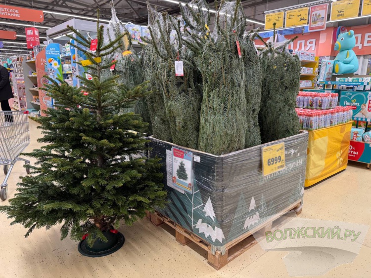 �� ������ ��: � �������� ����� ���������� ���������� ����