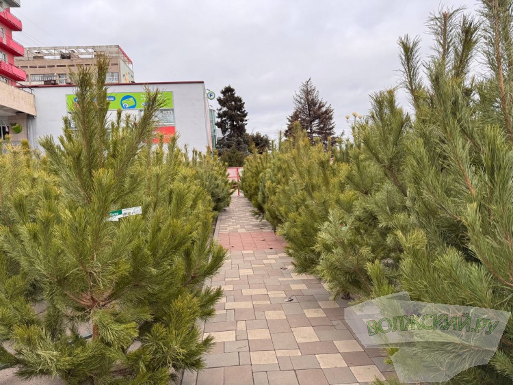 �� ������ ��: � �������� ����� ���������� ���������� ����