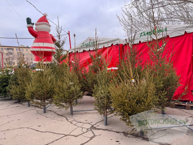 �� ������ ��: � �������� ����� ���������� ���������� ����