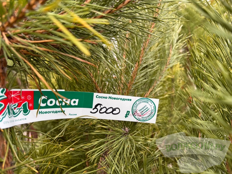 �� ������ ��: � �������� ����� ���������� ���������� ����