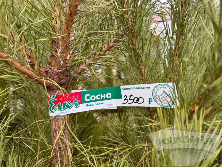 �� ������ ��: � �������� ����� ���������� ���������� ����