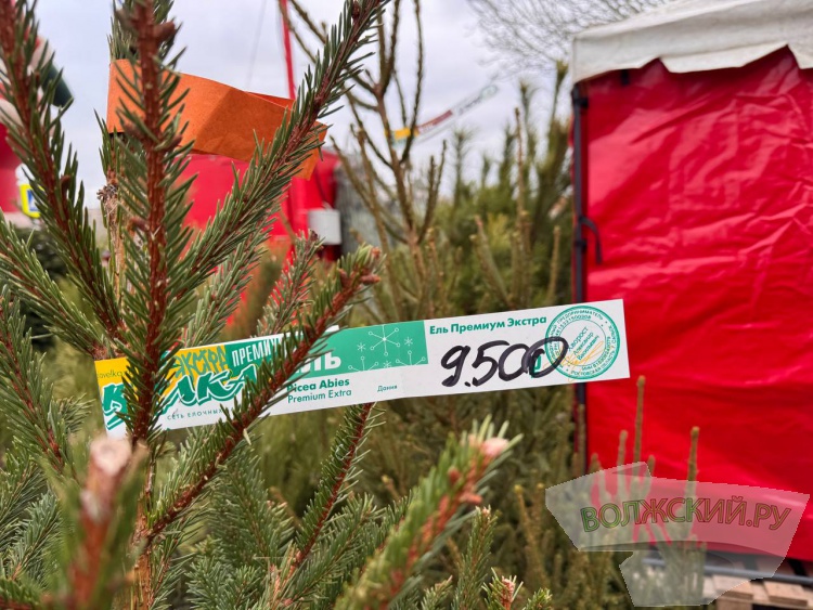 �� ������ ��: � �������� ����� ���������� ���������� ����