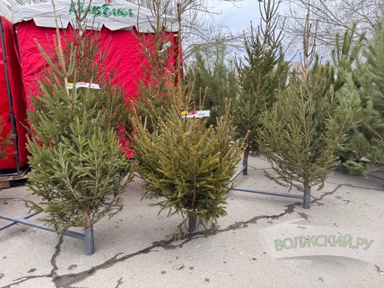 �� ������ ��: � �������� ����� ���������� ���������� ����