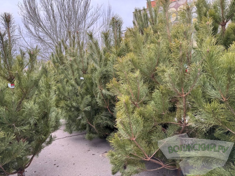 �� ������ ��: � �������� ����� ���������� ���������� ����