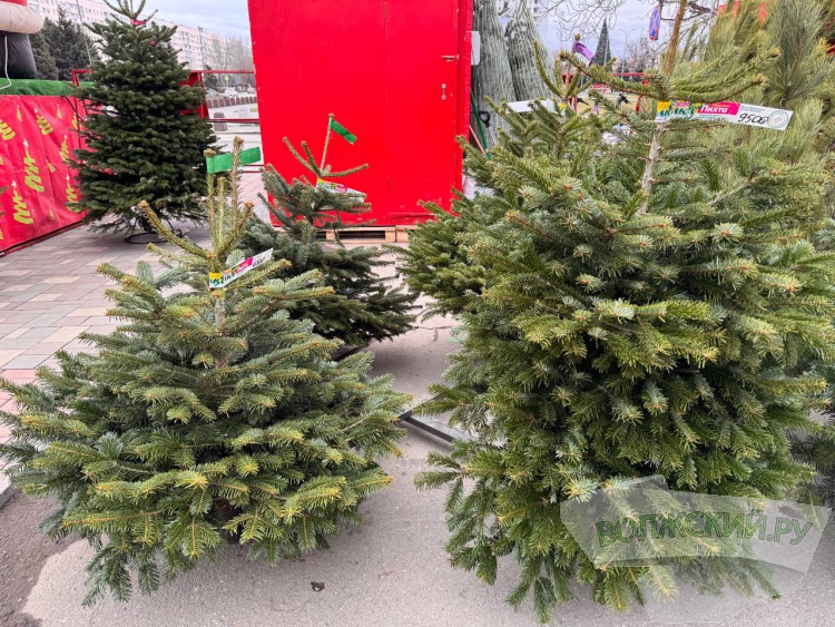 �� ������ ��: � �������� ����� ���������� ���������� ����