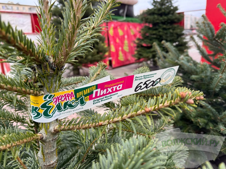 �� ������ ��: � �������� ����� ���������� ���������� ����